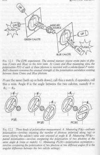 quantum reality-66.jpg